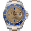 Rolex Submariner 42mm Gold Dial rl55