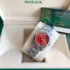 Rolex Oyster Perpetual 31/41mm SS/SS Red/Stk 4