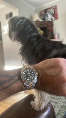 Superclone Rolex GMT-Master II Black Dial "Zombie" 126713GRNR photo review